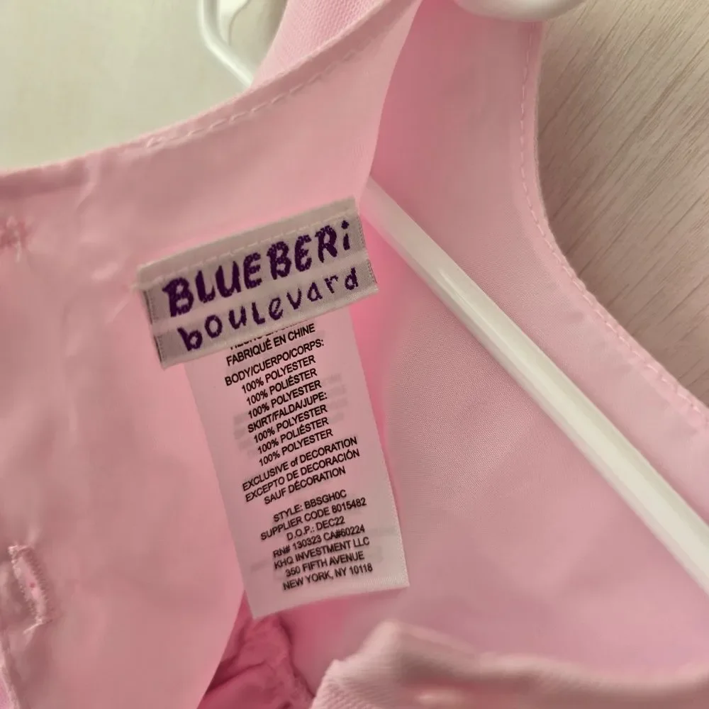 Blueberi Boulevard Baby Girls Embroidered Embellishment mesh dress 24 months